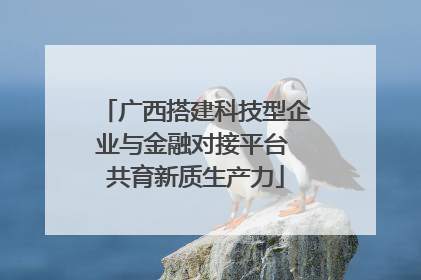 广西搭建科技型企业与金融对接平台 共育新质生产力