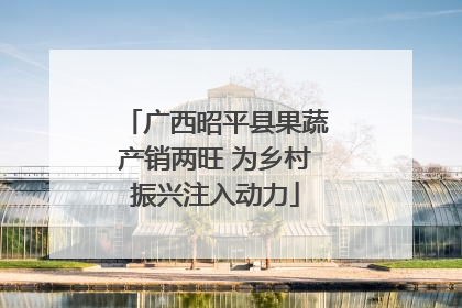 广西昭平县果蔬产销两旺 为乡村振兴注入动力