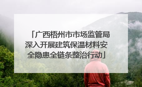 广西梧州市市场监管局深入开展建筑保温材料安全隐患全链条整治行动