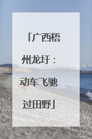 广西梧州龙圩：动车飞驰过田野