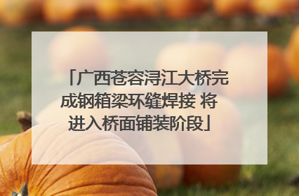 广西苍容浔江大桥完成钢箱梁环缝焊接 将进入桥面铺装阶段