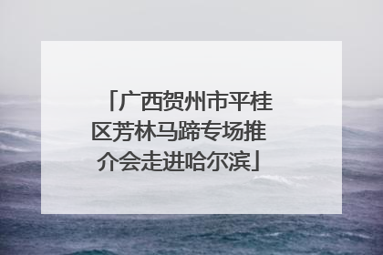 广西贺州市平桂区芳林马蹄专场推介会走进哈尔滨