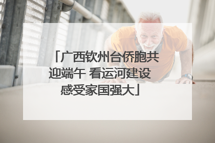 广西钦州台侨胞共迎端午 看运河建设感受家国强大