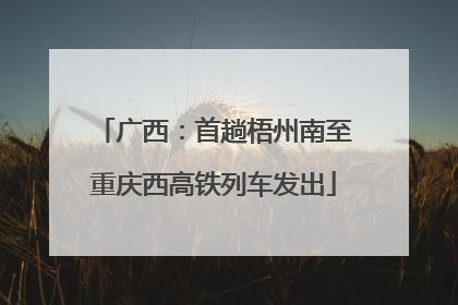 广西：首趟梧州南至重庆西高铁列车发出