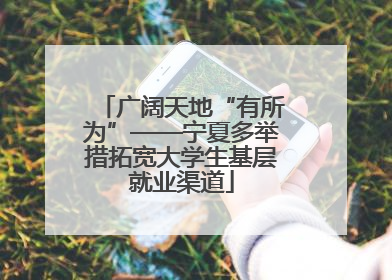 广阔天地“有所为”——宁夏多举措拓宽大学生基层就业渠道