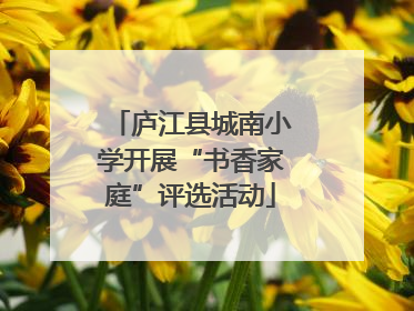 庐江县城南小学开展“书香家庭”评选活动