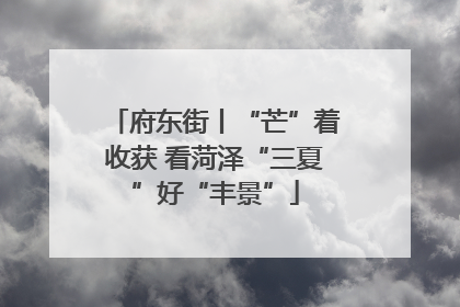 府东街丨“芒”着收获 看菏泽“三夏”好“丰景”
