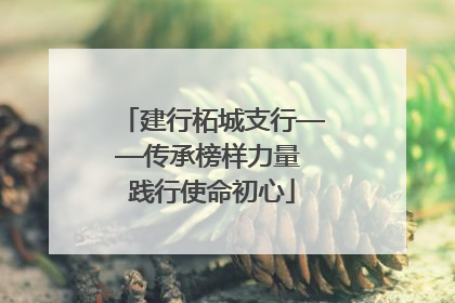 建行柘城支行——传承榜样力量 践行使命初心