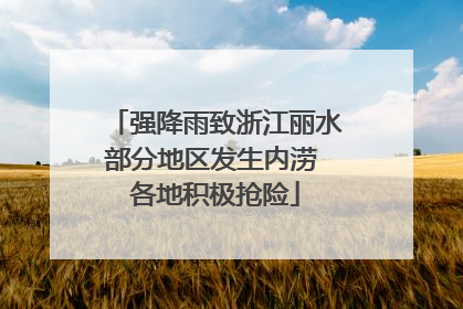 强降雨致浙江丽水部分地区发生内涝 各地积极抢险