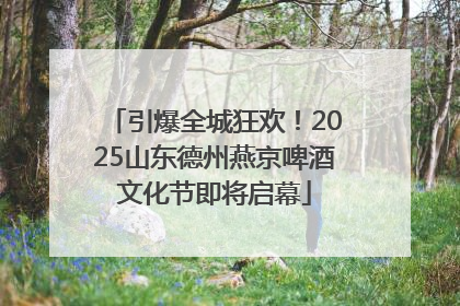 引爆全城狂欢！2025山东德州燕京啤酒文化节即将启幕