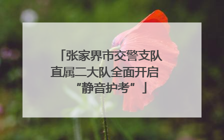 张家界市交警支队直属二大队全面开启“静音护考”