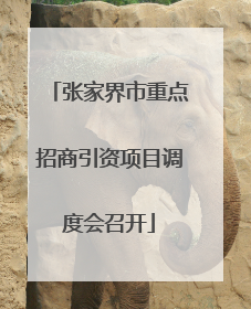张家界市重点招商引资项目调度会召开