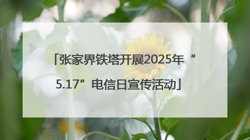 张家界铁塔开展2025年“5.17”电信日宣传活动