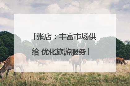 张店：丰富市场供给 优化旅游服务