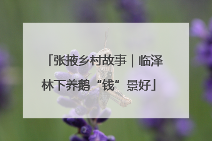 张掖乡村故事｜临泽林下养鹅“钱”景好