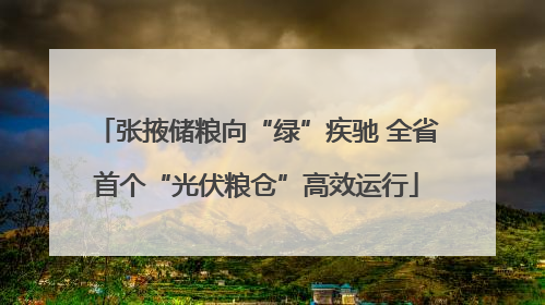 张掖储粮向“绿”疾驰 全省首个“光伏粮仓”高效运行