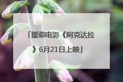 援疆电影《阿克达拉》6月21日上映
