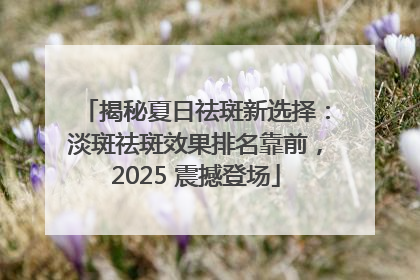 揭秘夏日祛斑新选择：淡斑祛斑效果排名靠前，2025 震撼登场