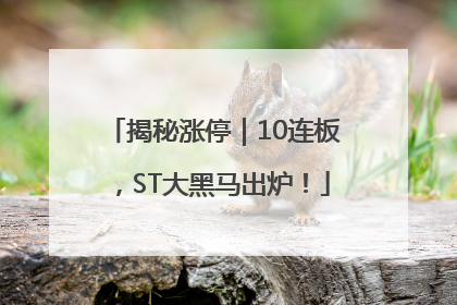 揭秘涨停｜10连板，ST大黑马出炉！