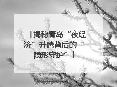 揭秘青岛“夜经济”升腾背后的“隐形守护”