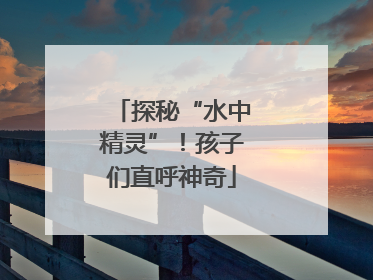 探秘“水中精灵”！孩子们直呼神奇