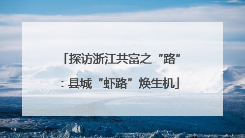 探访浙江共富之“路”：县城“虾路”焕生机