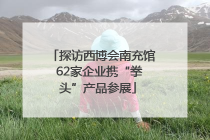 探访西博会南充馆 62家企业携“拳头”产品参展