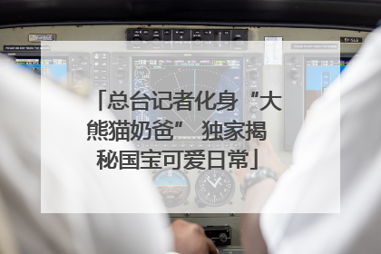 总台记者化身“大熊猫奶爸” 独家揭秘国宝可爱日常