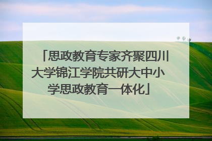 思政教育专家齐聚四川大学锦江学院共研大中小学思政教育一体化
