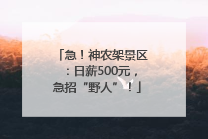 急！神农架景区：日薪500元，急招“野人”！