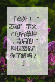 意外！“苏超”带火了句容草坪，背后的“科技密码”你了解吗？
