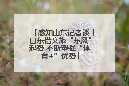 感知山东记者谈丨山东借文旅“东风”起势 不断塑强“体育+”优势