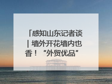 感知山东记者谈｜墙外开花墙内也香！“外贸优品”打通国内国际市场“旋转门”