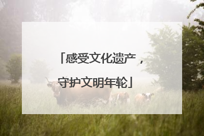 感受文化遗产，守护文明年轮