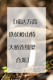 成达万高铁仗岭山特大桥连续梁合龙