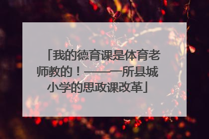 我的德育课是体育老师教的！——一所县城小学的思政课改革
