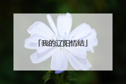 我的辽阳情结