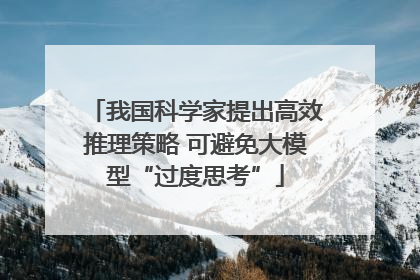 我国科学家提出高效推理策略 可避免大模型“过度思考”