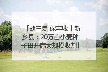 战三夏 保丰收丨新乡县：20万亩小麦种子田开启大规模收割