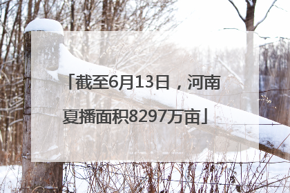 截至6月13日，河南夏播面积8297万亩