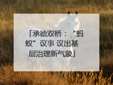 承德双桥：“蚂蚁”议事 议出基层治理新气象