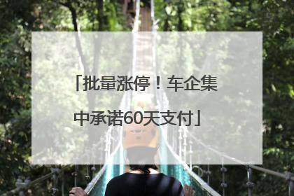 批量涨停！车企集中承诺60天支付