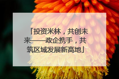 投资米林，共创未来——政企携手，共筑区域发展新高地