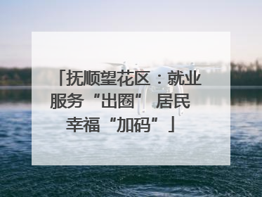 抚顺望花区：就业服务“出圈” 居民幸福“加码”