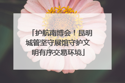 护航南博会！昆明城管坚守展馆守护文明有序交易环境