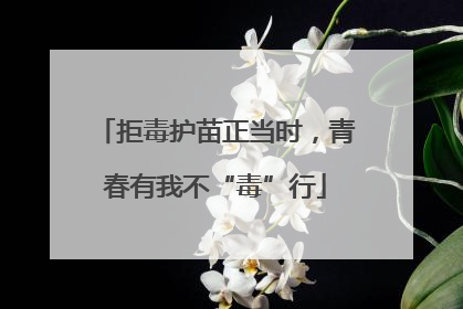 拒毒护苗正当时，青春有我不“毒”行