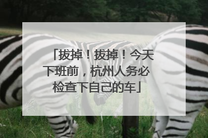 拔掉！拔掉！今天下班前，杭州人务必检查下自己的车