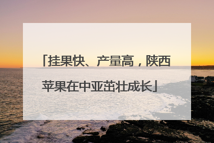 挂果快、产量高，陕西苹果在中亚茁壮成长