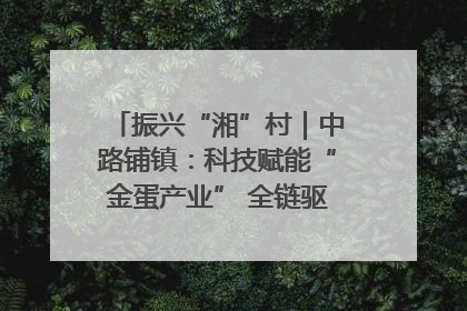振兴“湘”村｜中路铺镇：科技赋能“金蛋产业” 全链驱动乡村振兴