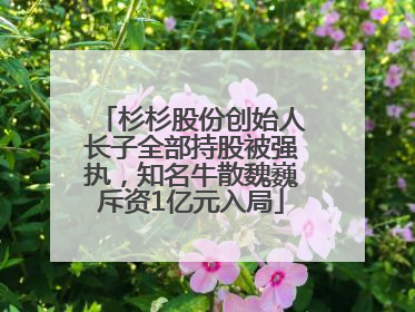 杉杉股份创始人长子全部持股被强执，知名牛散魏巍斥资1亿元入局